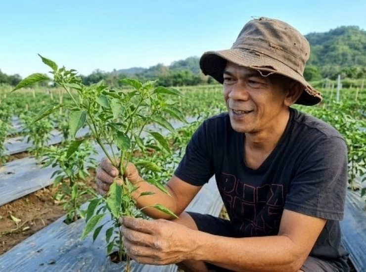 Logopit_1774152590607 (1)